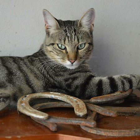 Willa Societa Agricola La Staccionata Staranzano Zewnętrze zdjęcie